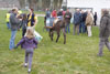 Quelques tours de piste où les enfants qui ont pris la responsabilité de conduire les ânes mêlent joie et esprit d'équipe et de responsabilité.
