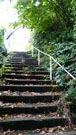 escaliers de Saint-Pierre du Vauvray